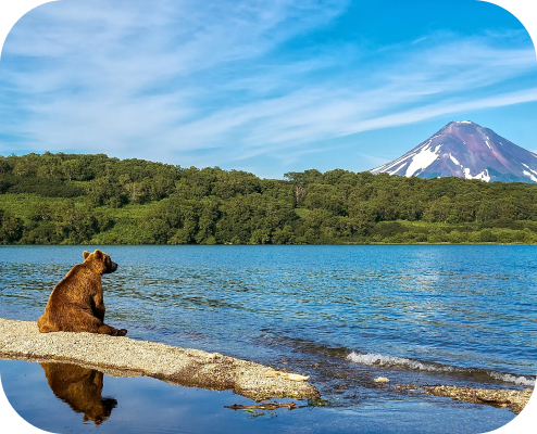 Ай Ти в золотодобывающей компании