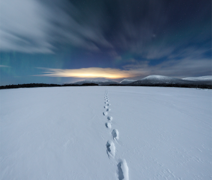 Белое море зимой