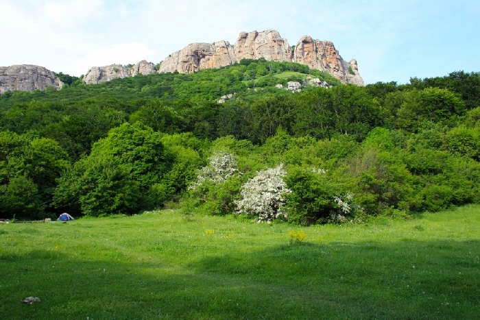 Поляна крым фото КРЫМСКИЕ КАНИКУЛЫ Программа