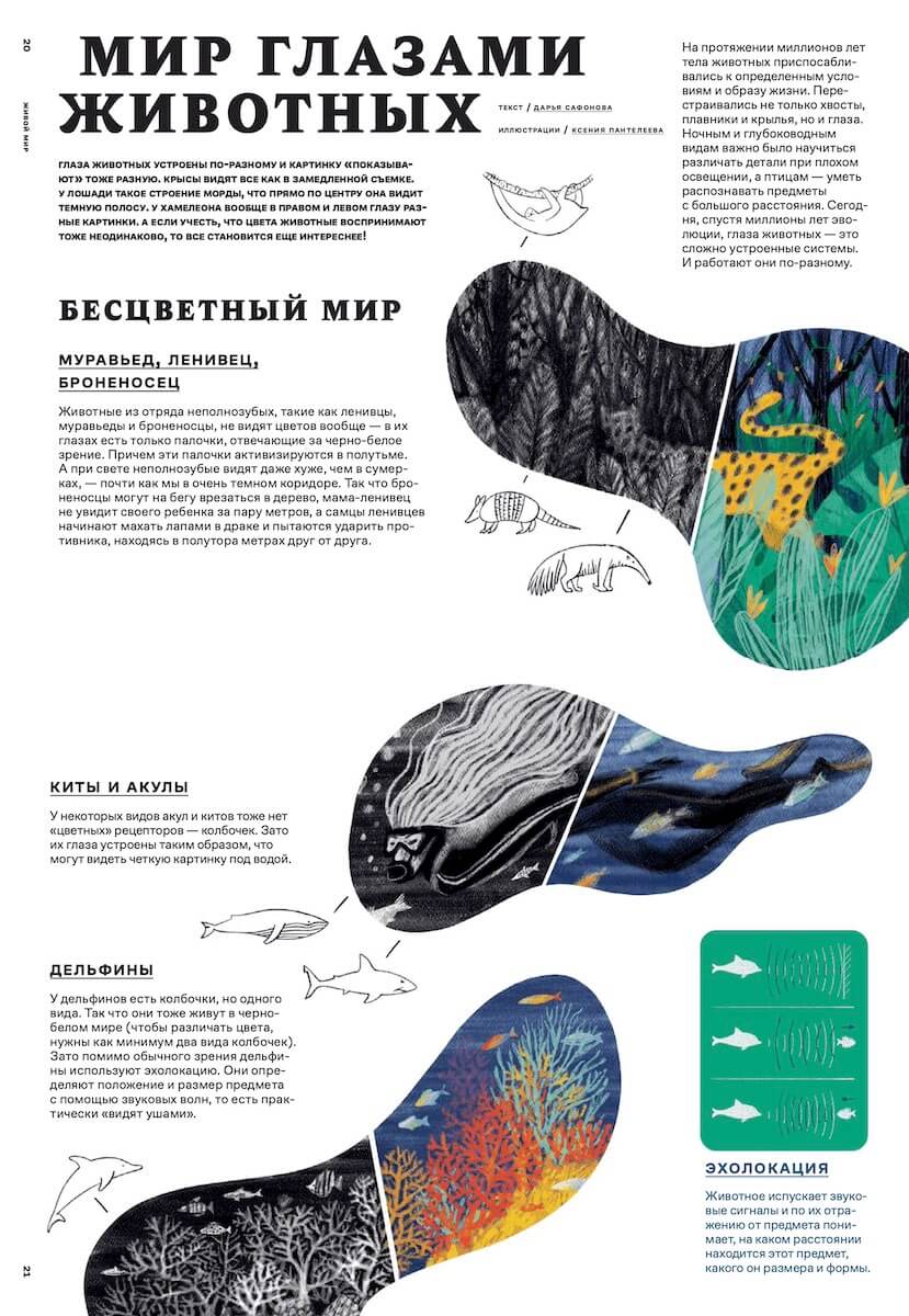 Звездная пыль – Детские альманахи Издательства Кит