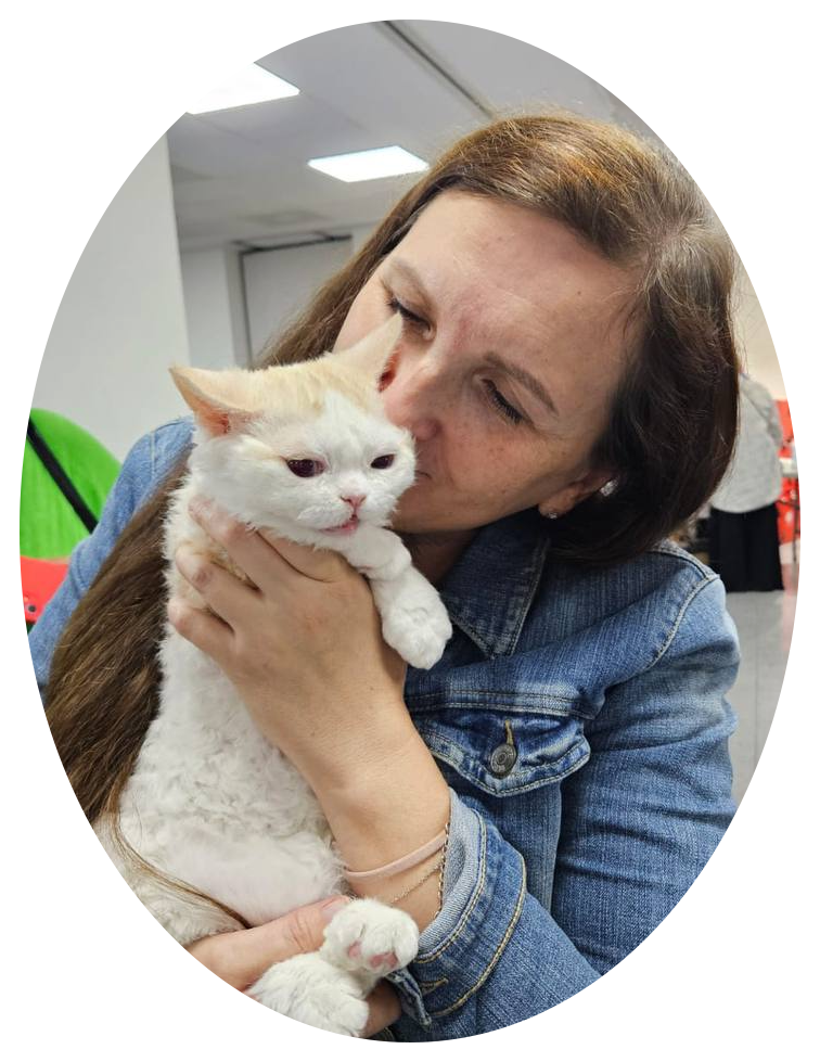 Девушка держит на руках белого кудрявого голубоглазого котика и целует его.