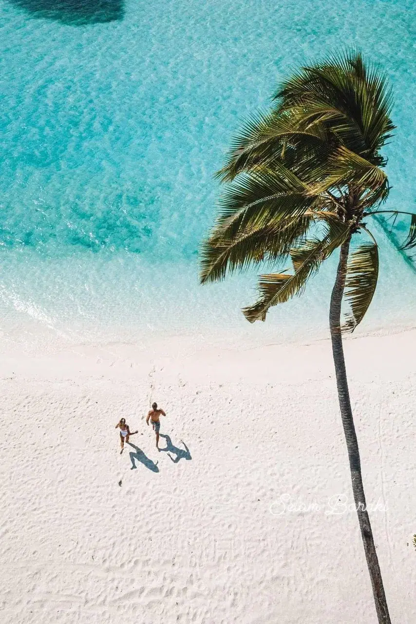 Отдых и удовольствие