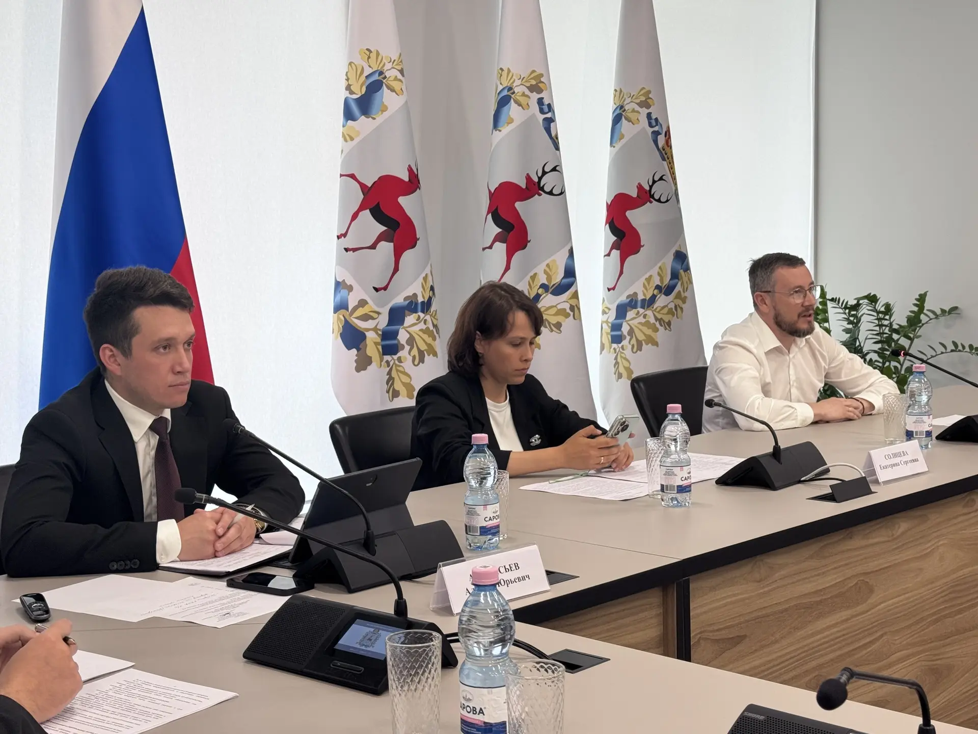 Выступление участников заседания Совета