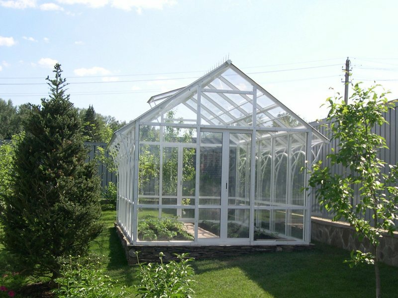 парника 16. теплица воля дачная-стрелка 250х260см. теплица 10 метров. теплица застекленная. теплица восемь метров.
