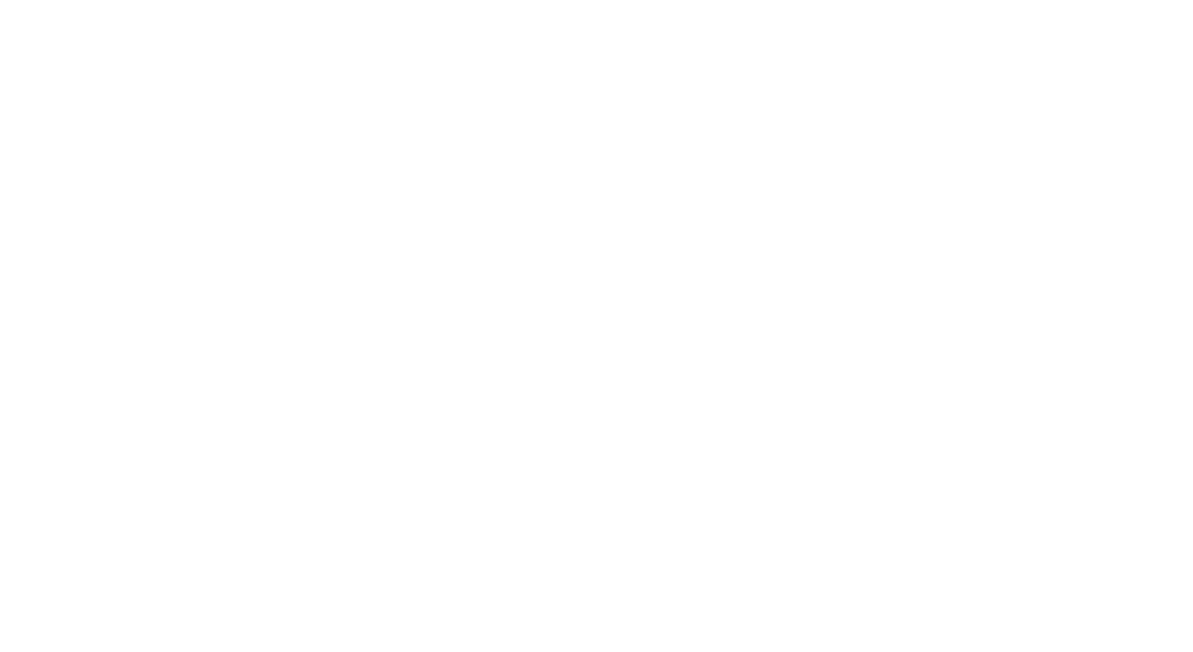 ИНН 781609520921  ОГРНИП 322470400036883