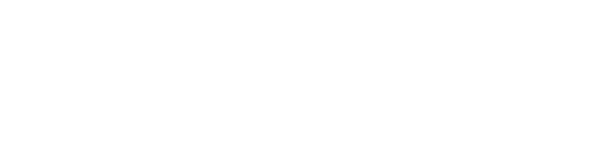 Novikov School