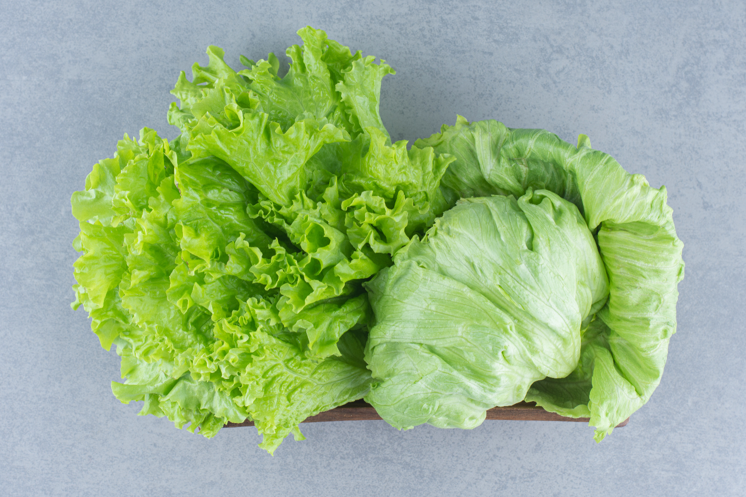 Fresh iceberg lettuce and leaf lettuce varieties on a gray background, representing homegrown gardening benefits.