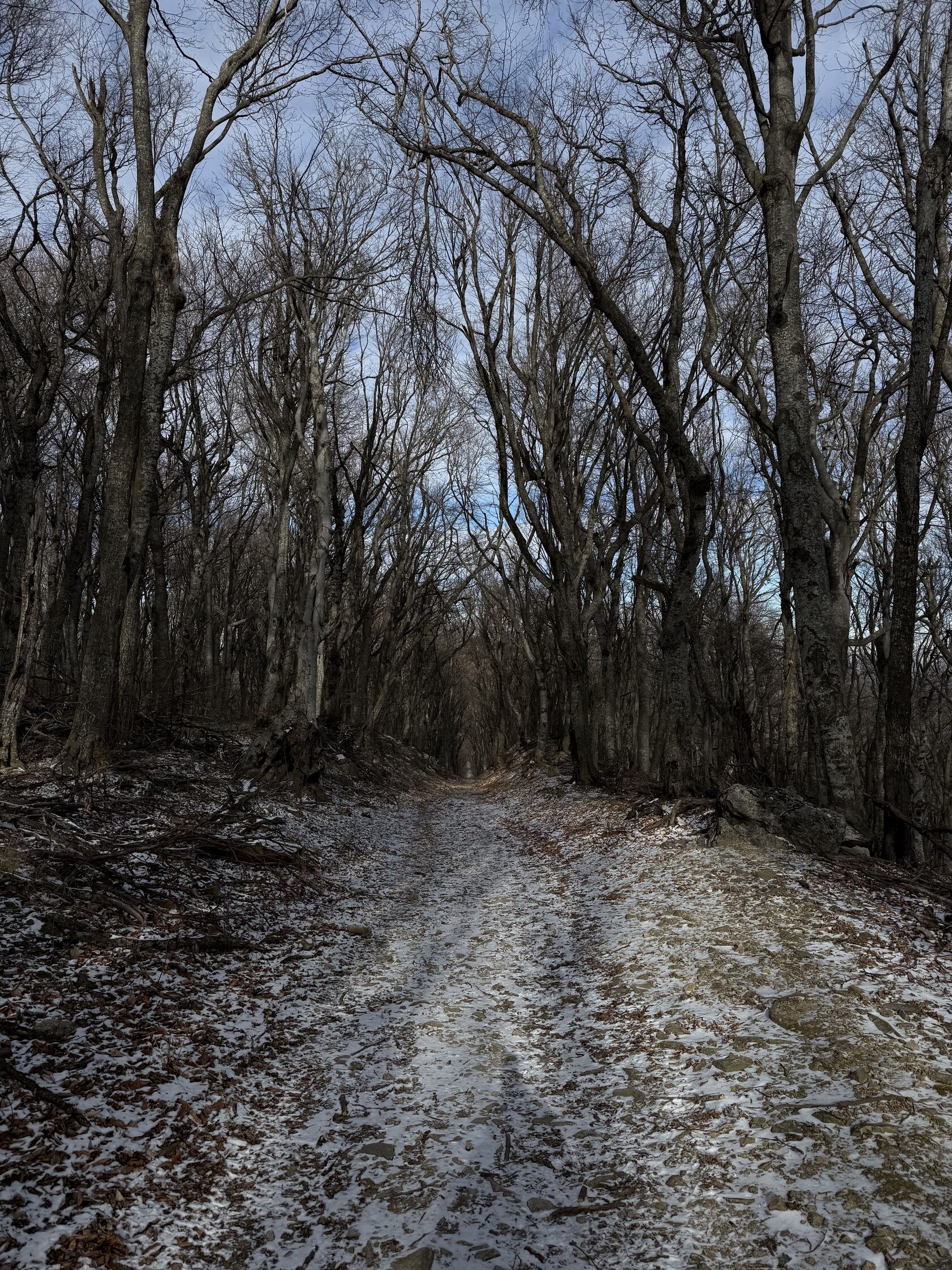 Тропа на Бештау со стороны Железноводска