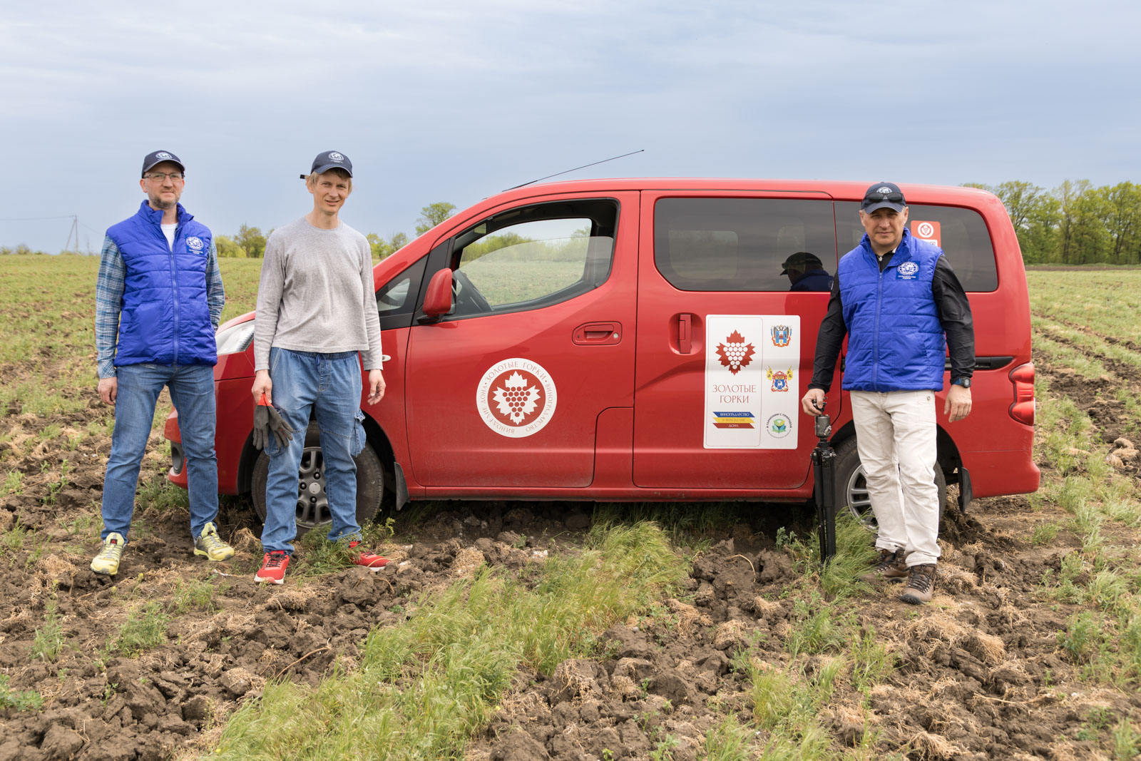Проект виноградарства и виноделия Дона 