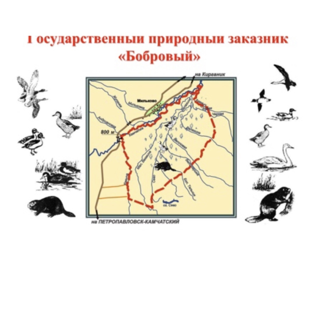 Положение о природных заказниках. Государственный комплексный заказник Кулигинский. Томский государственный природный заказник. Зулумайский Бобровый заказник. Убейско-Салбинский заказник (Бобровый)..