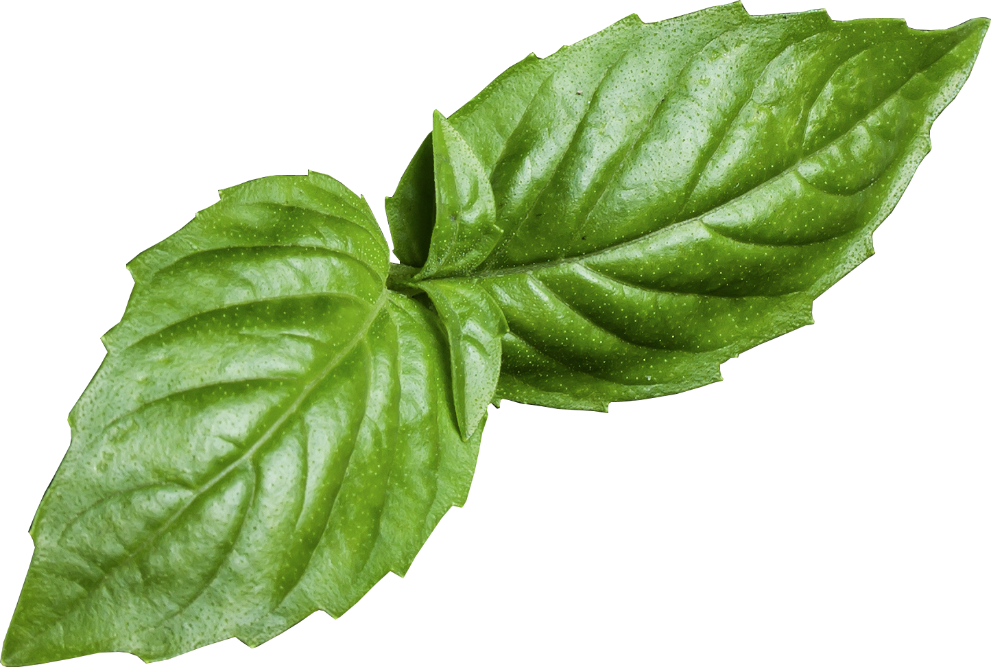 Программы питания