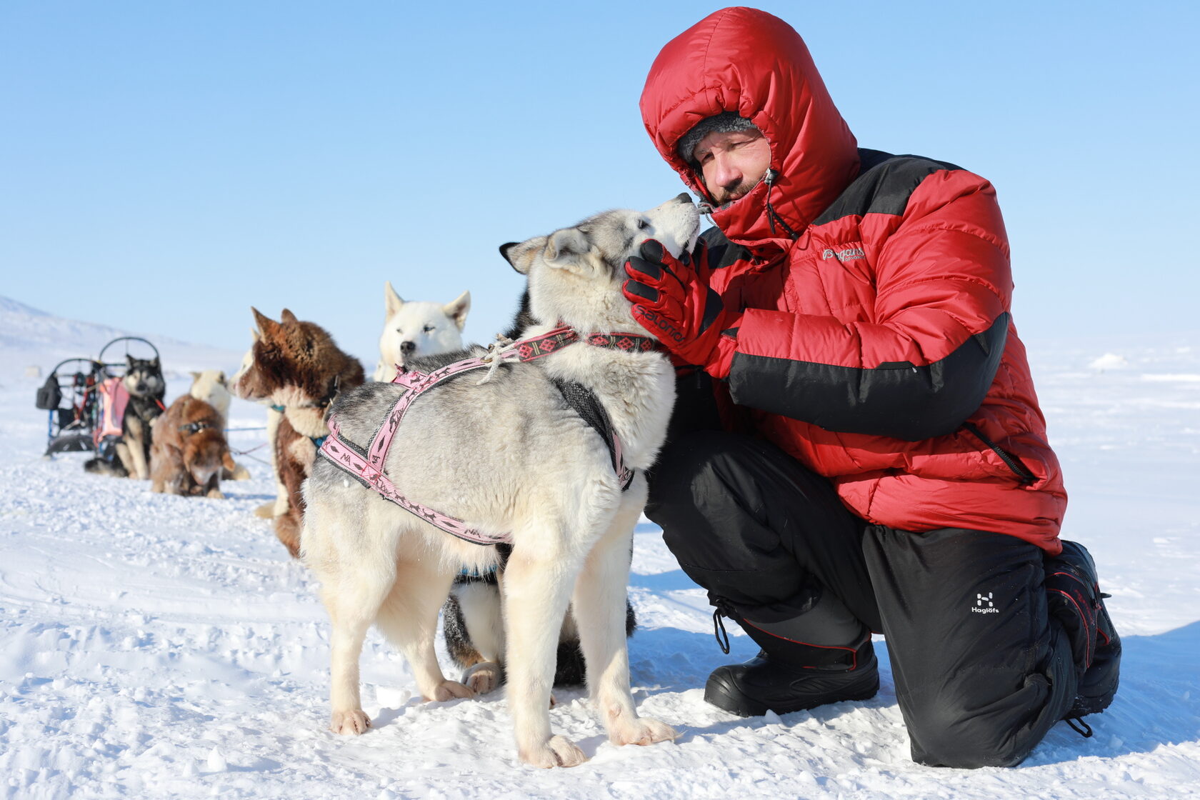 Boglangan qizlar jinsiy aloqa