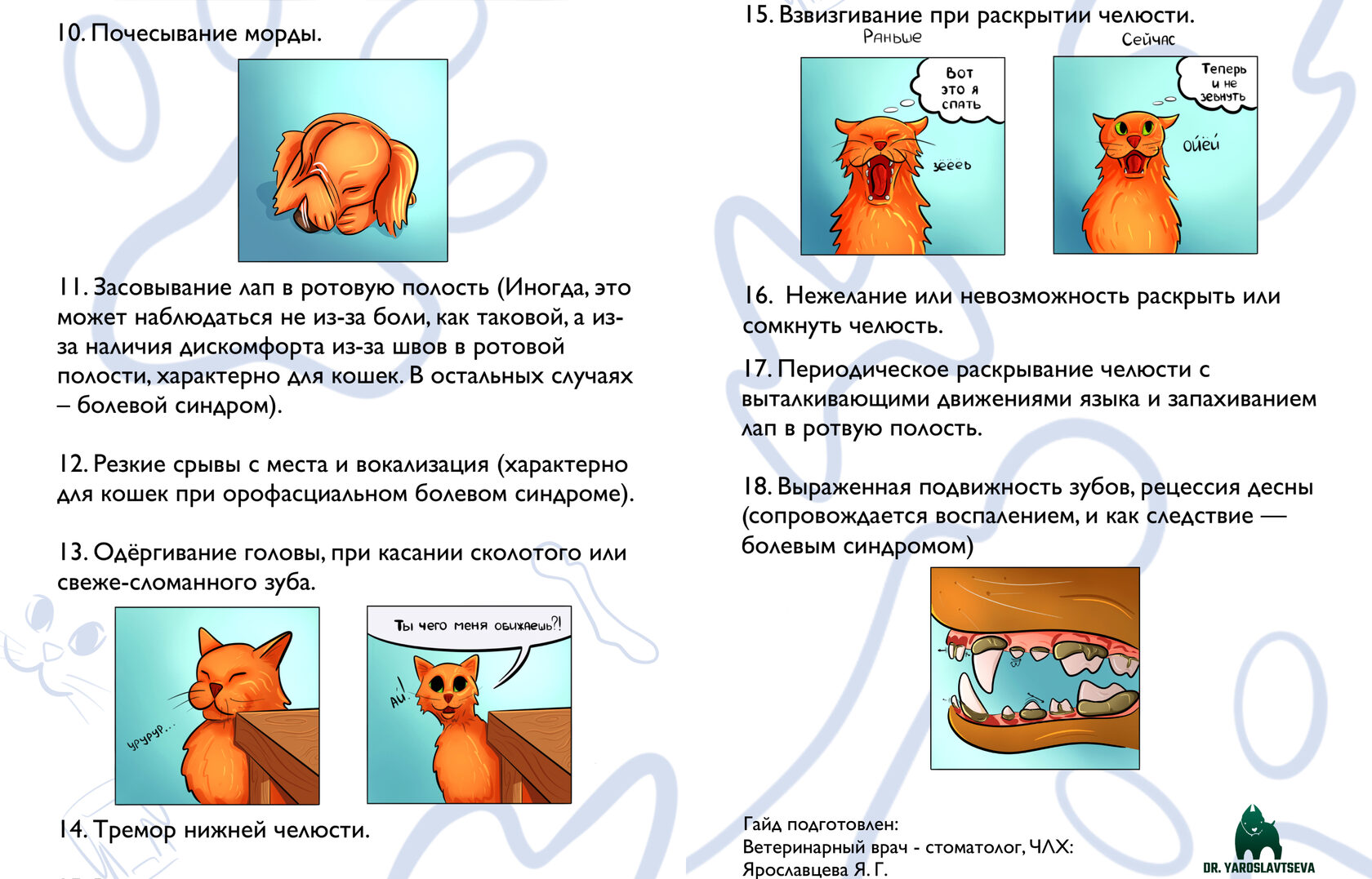 Ветеринарная клиника «Грыззли» | Ярославцева Ярославна | Ветеринарная  стоматология