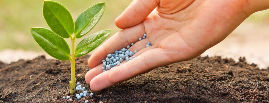 Минеральные удобрения: состав и влияние на растения