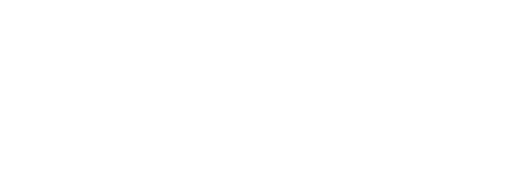 Логотип компании FESTWAY