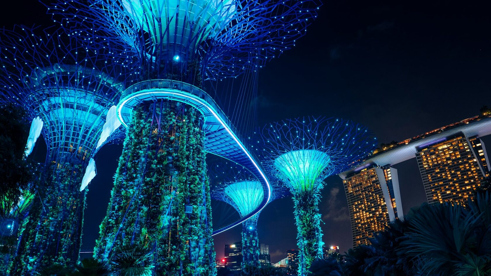 Супердеревья Gardens by the Bay ночью