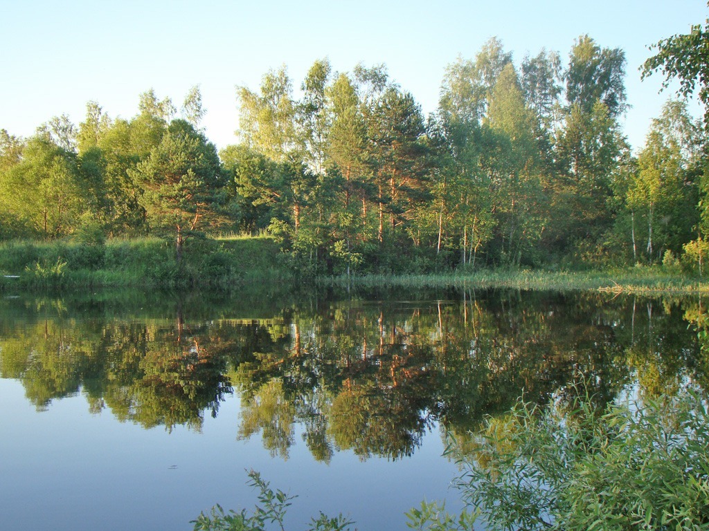 Рыбинское красноярский край. Озера Рыбинского района Красноярского края. Озеро поселок Урал Рыбинский район. Рыбинский район природа. Рыбинский муниципальный район природа.