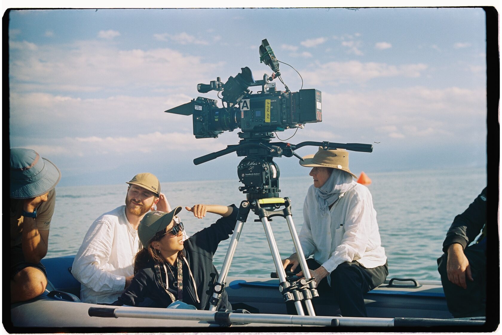 Қырынған кискалар HD форматында