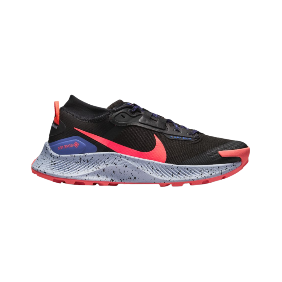 gore tex nike pegasus