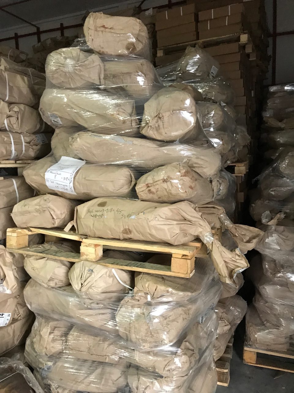 зубатка пятнистая