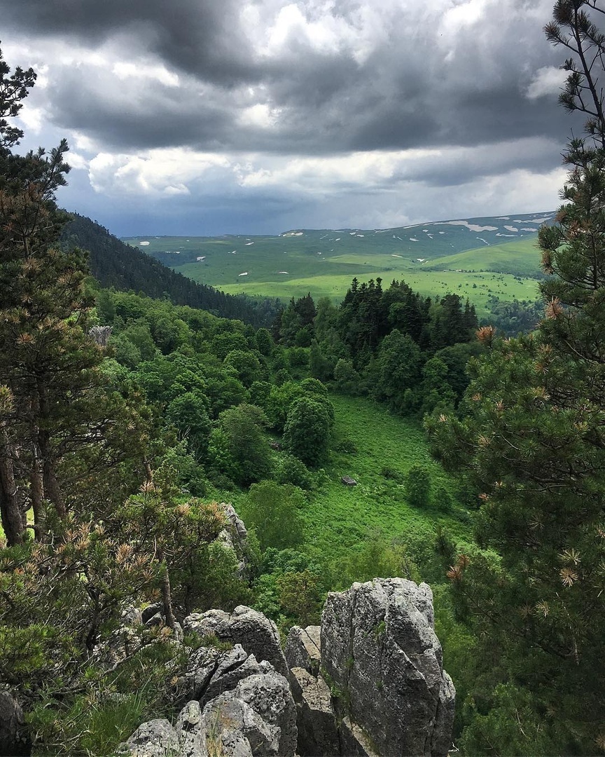 Самшитовые леса Лаго Наки