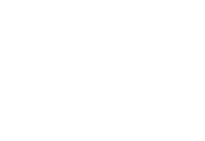  ООО "Днища" 