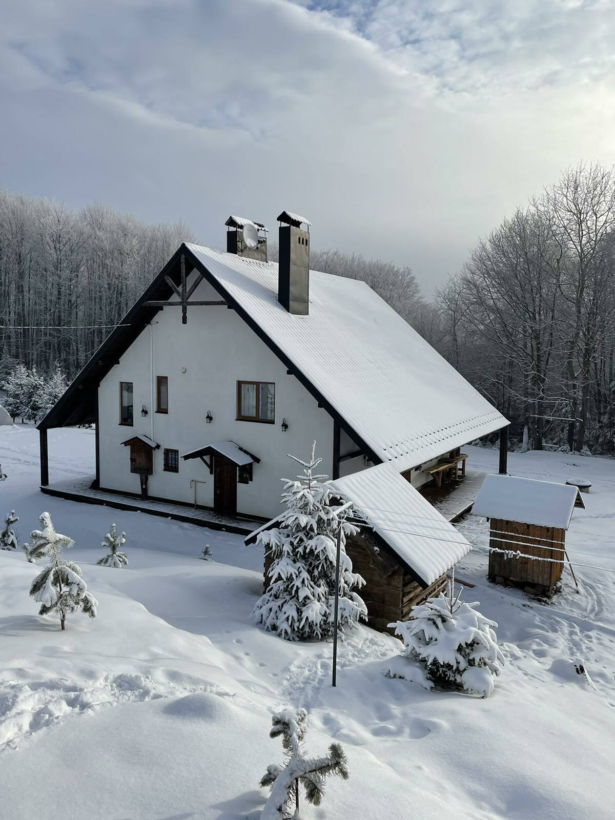 Sale of houses and cottages in the Carpathians