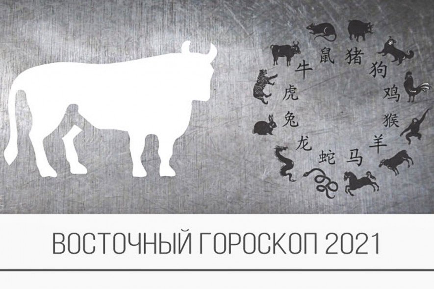 Следующий год 2021 какого. Восточный гороскоп. Животные китайского календаря. Восточный гороскоп 2021. Китайский гороскоп бык.