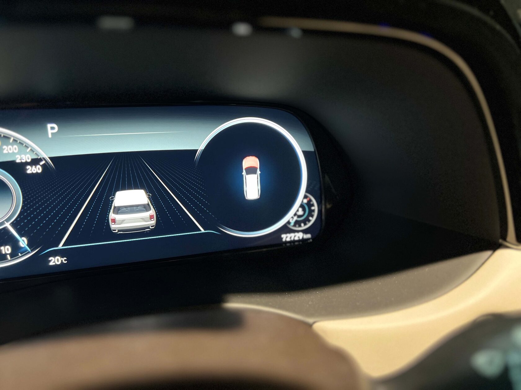 Результат обслуживания Palisade