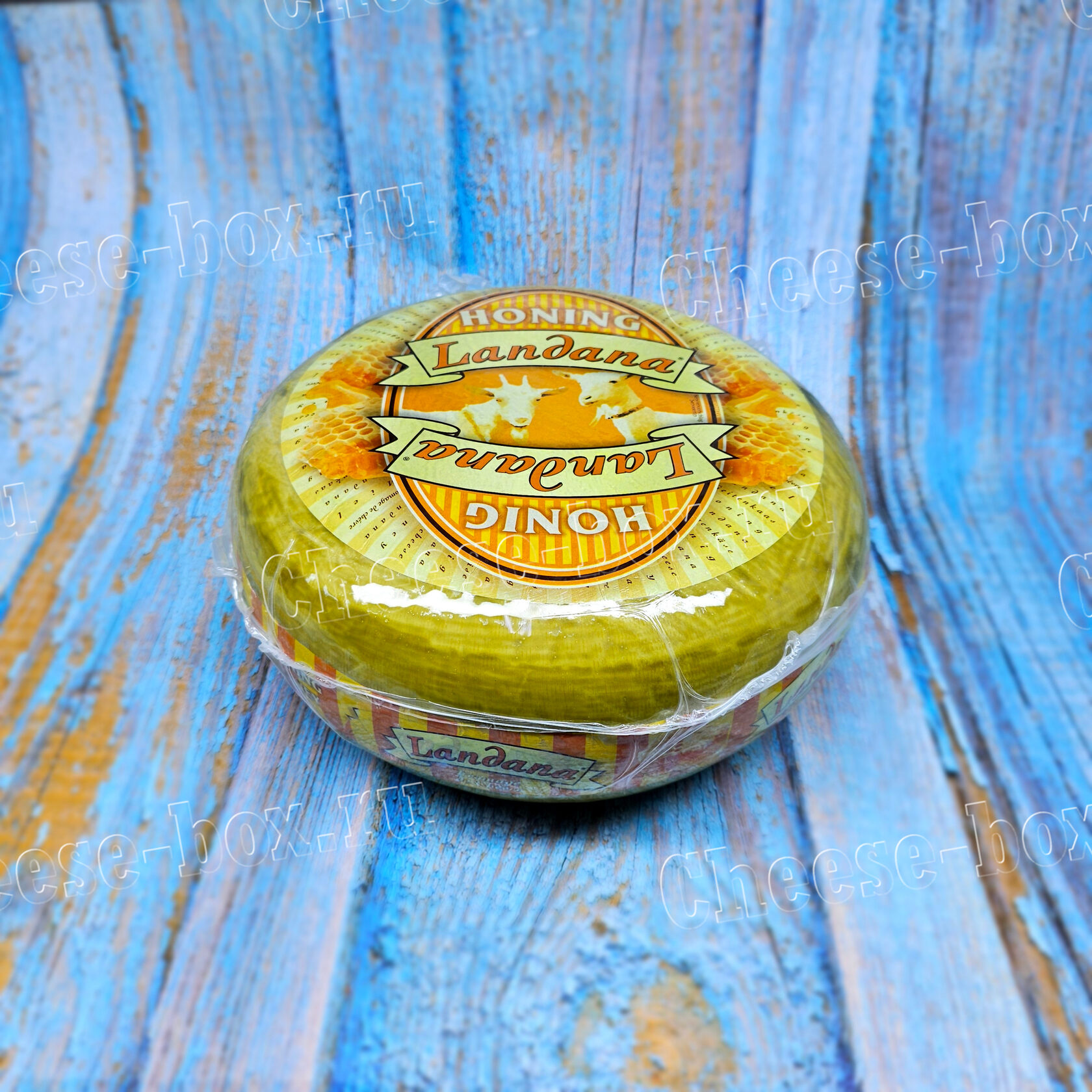 Havaskor rus oilaviy jinsiy aloqa mmf tomosha qiling