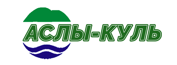 Company