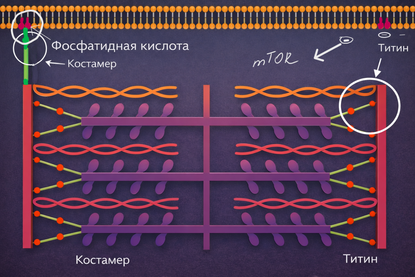 Ein Bild, das Text, Screenshot, Reihe, Schrift enthält.
KI-generierte Inhalte können fehlerhaft sein.