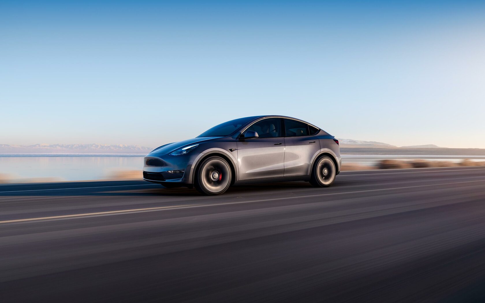 Tesla Model Y — купить по цене от 5 600 000 руб