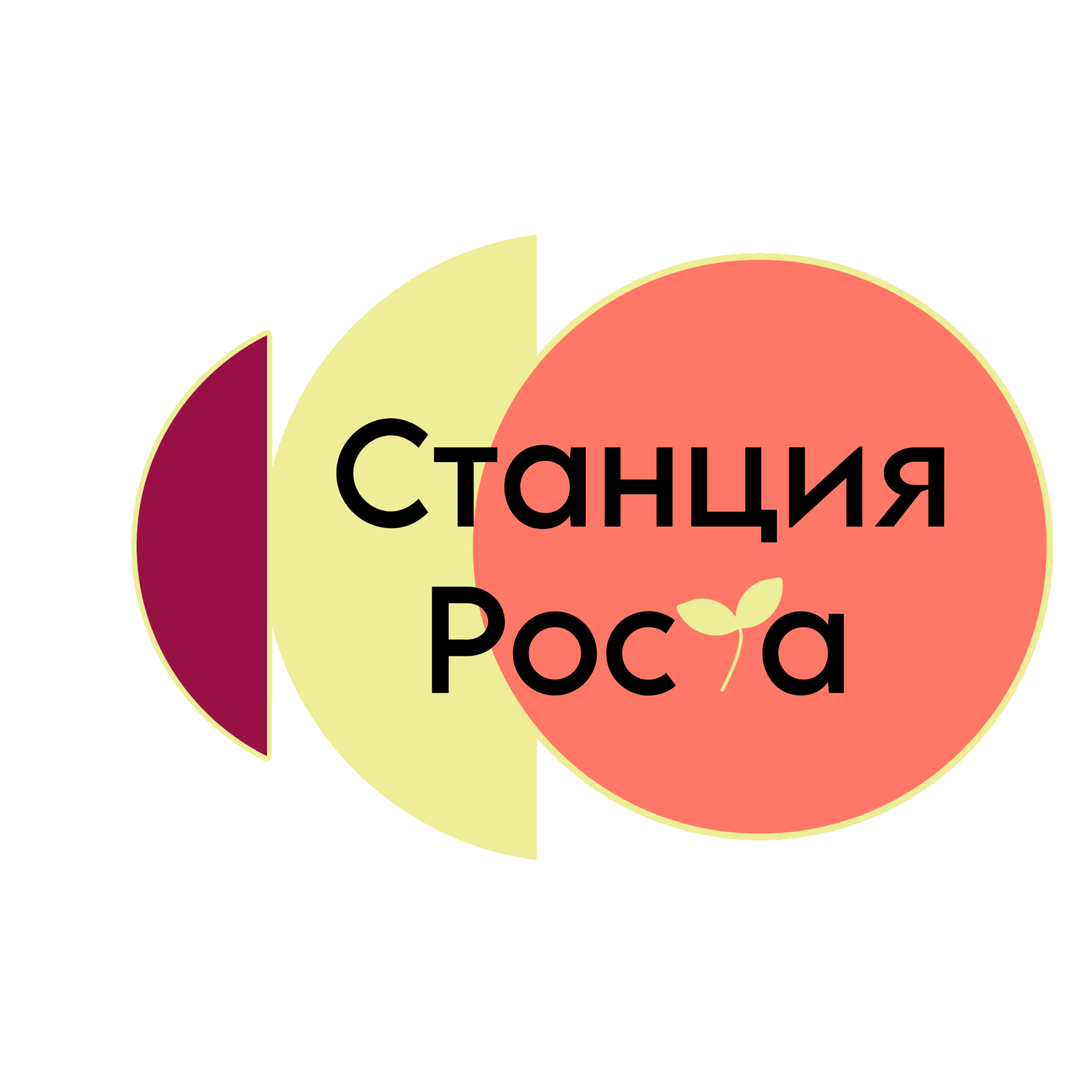 Клуб развития детей "Станция Роста"