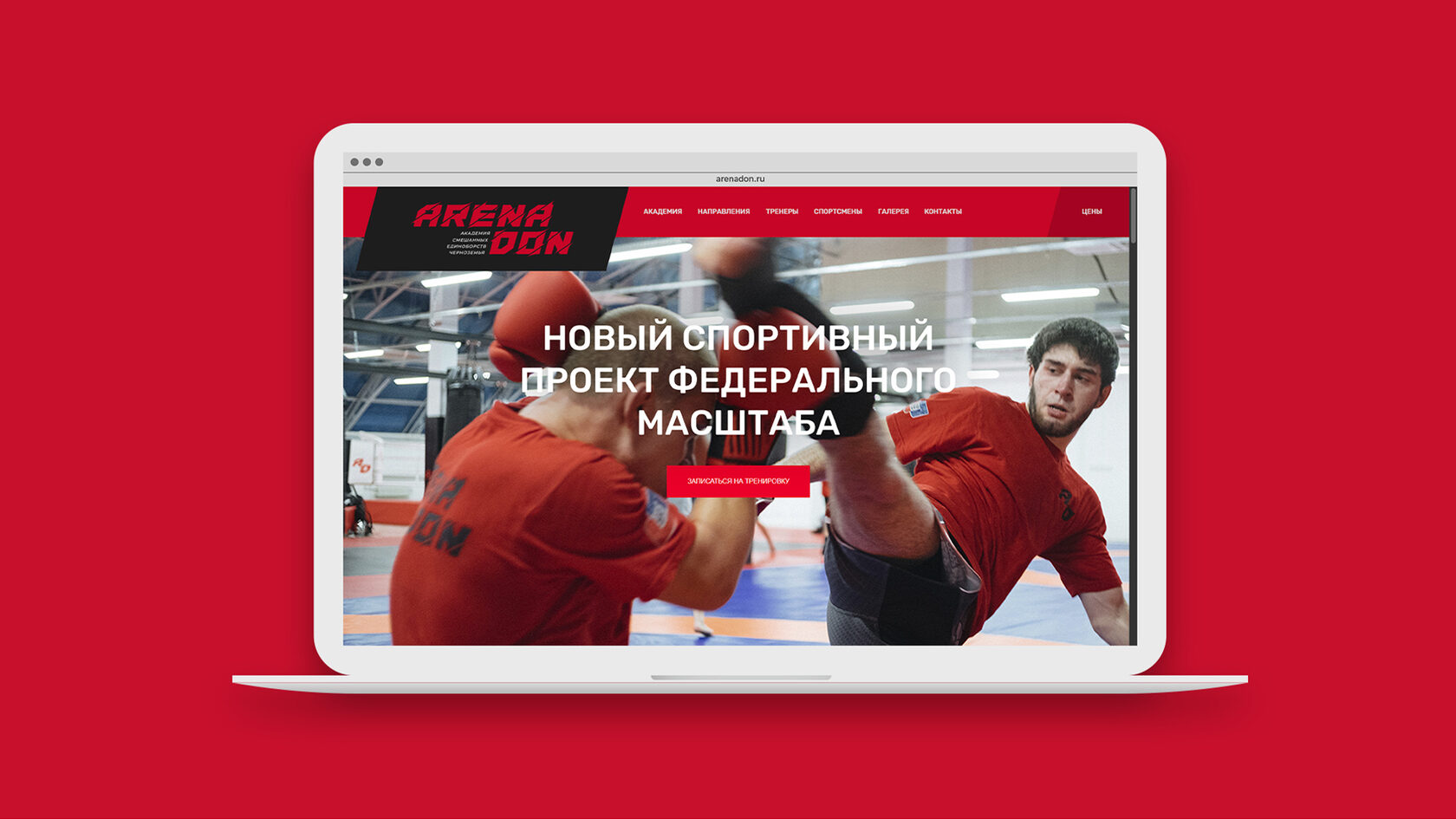 Arena Don – оригинальный материал проекта