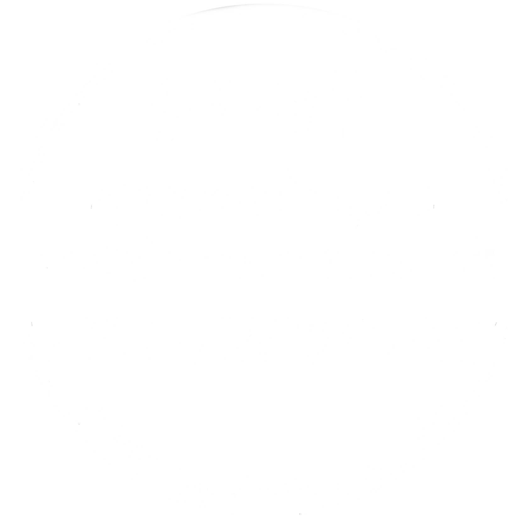 Профессиональные средства для химчистки мебели и ковров