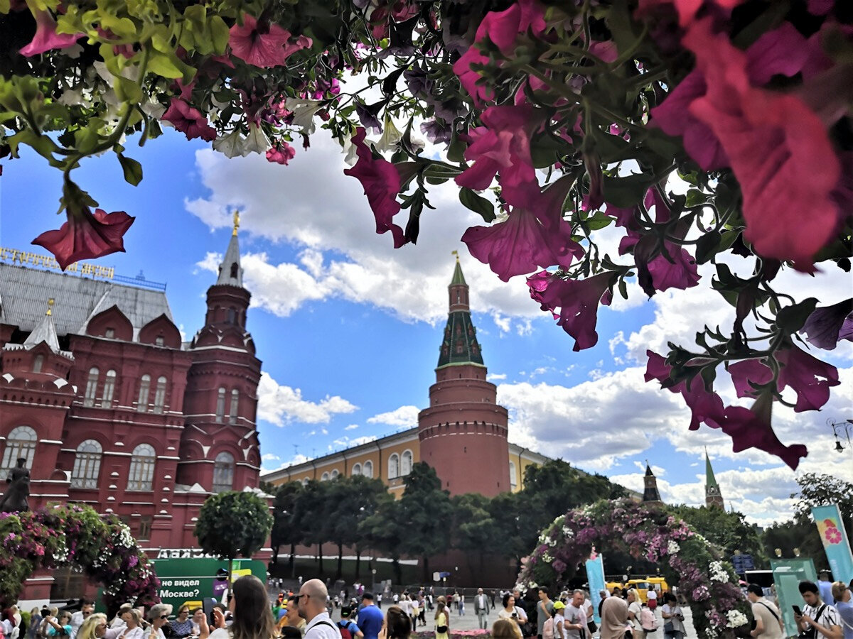 Манежная площадь в дни Фестиваля цветов