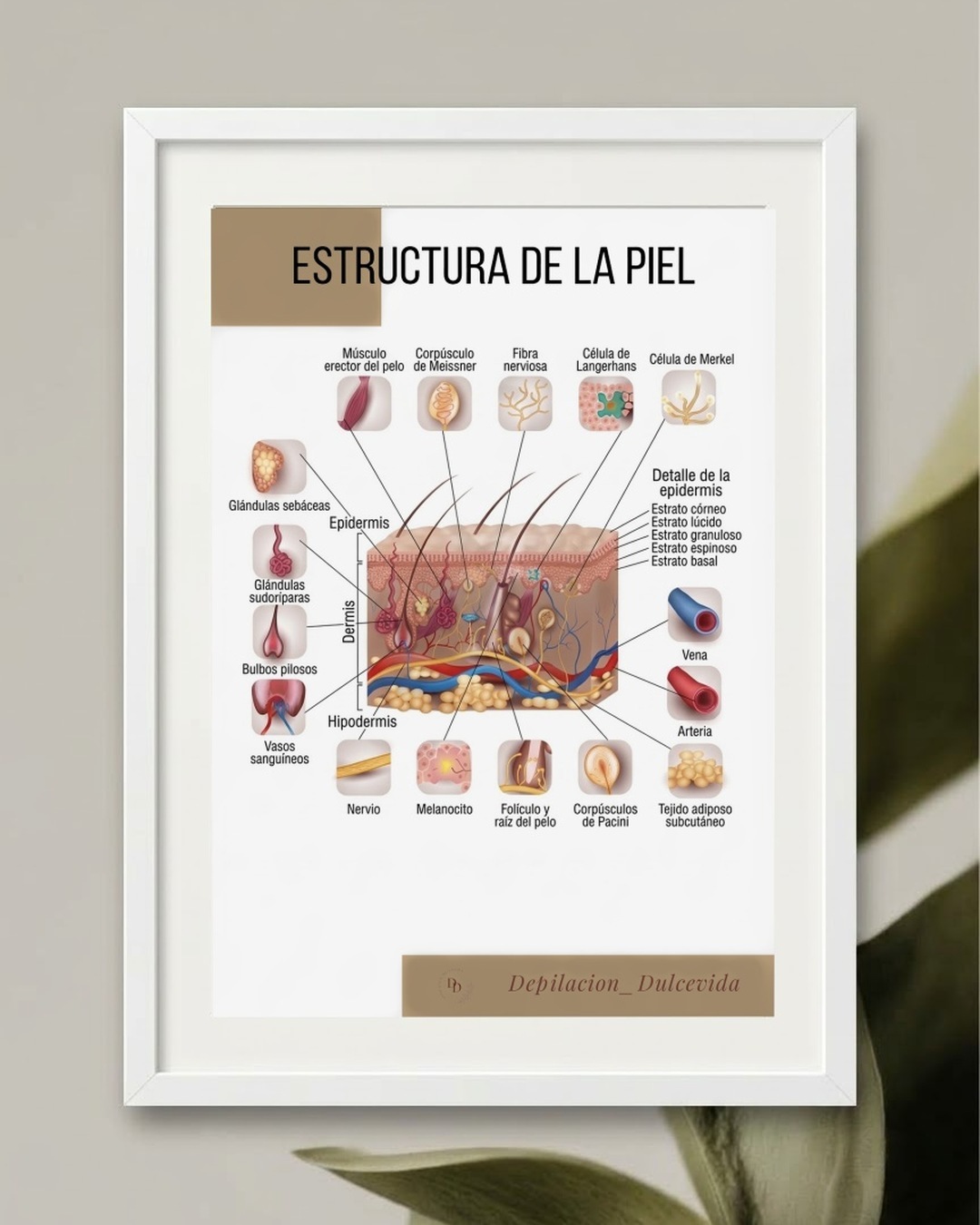 Póster en español