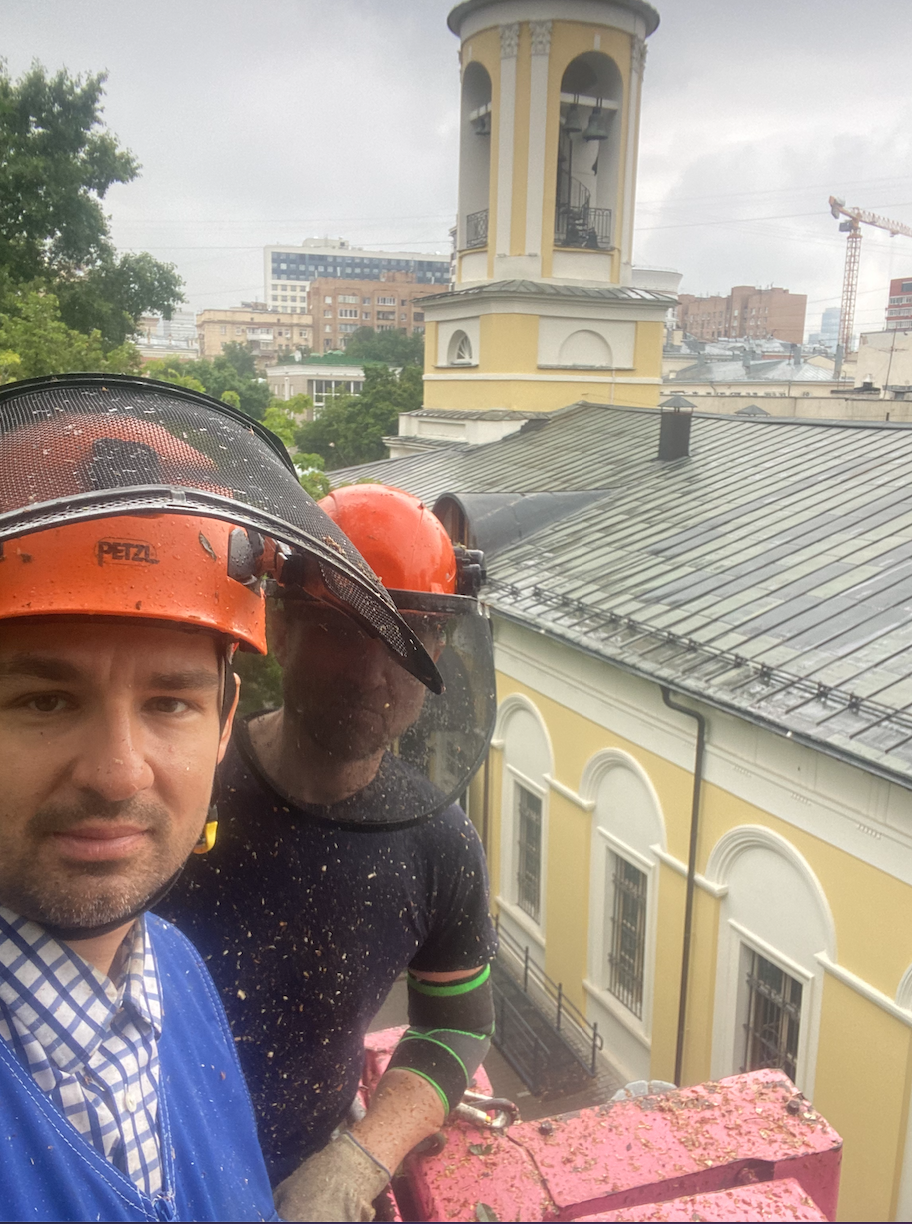 удаление деревьев в Москве