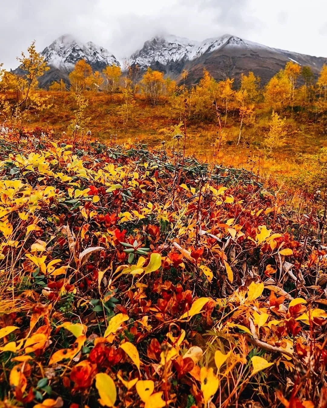 Камчатская осень фото Камчатка в октябре - Арт Минск.ру