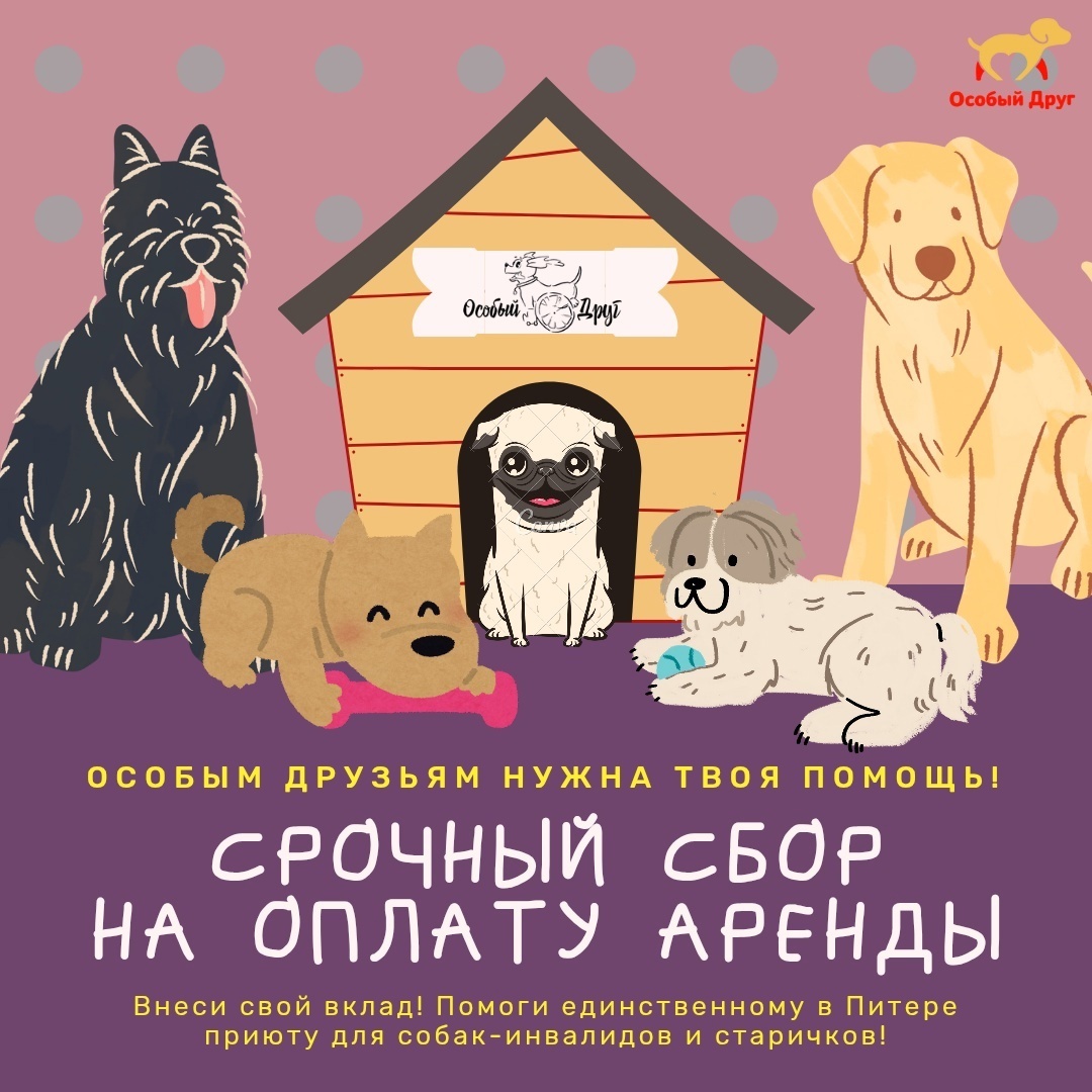 срочный сбор денег на оплату аренды в мае