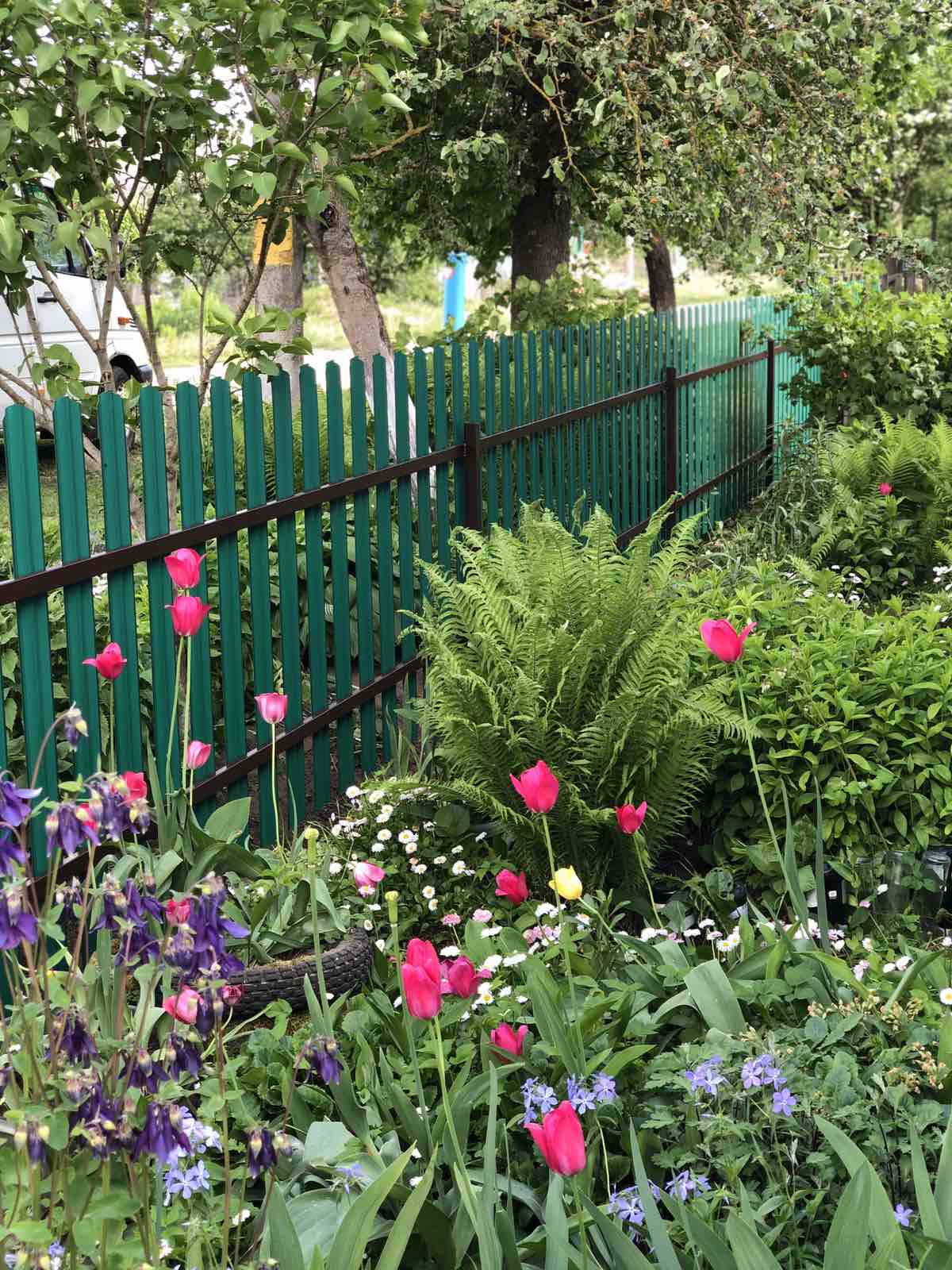 Заборы из профлиста и штакета под ключ. Витебск, Минск, Могилев