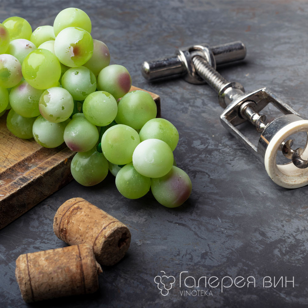 Дегустация вин Прованса в винотеке «Галерея вин»