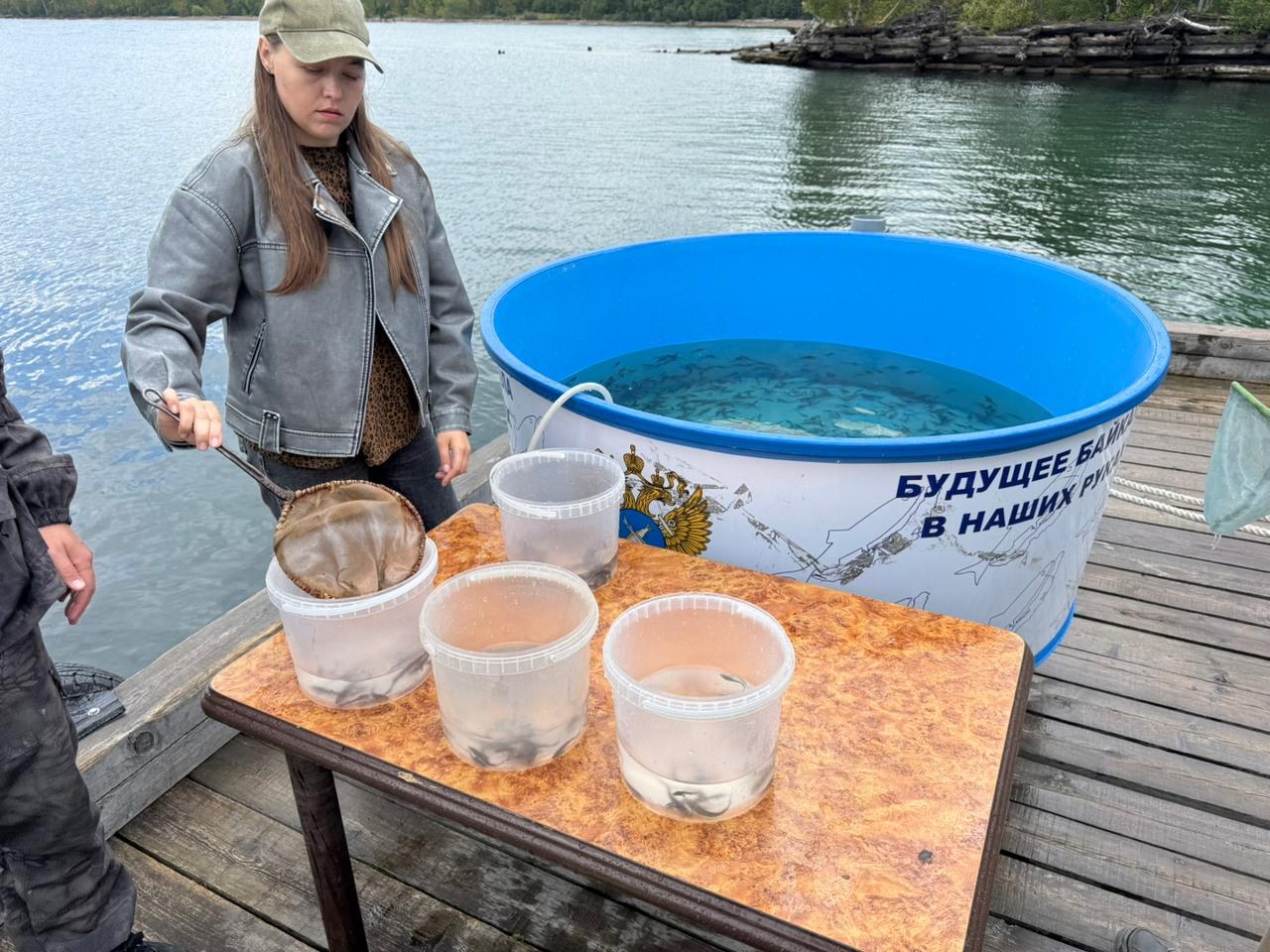 мальки сибирского осетра выпущены в байкальские воды рядом с визит-центром «Байкал заповедный»