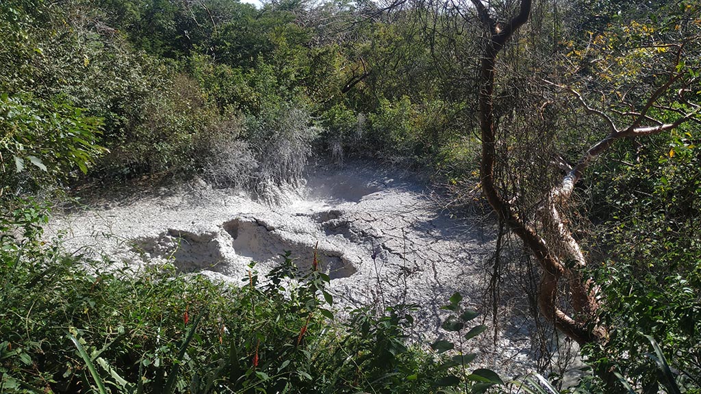 Geothermal terrain surrounded by forest at Rincon de la Vieja