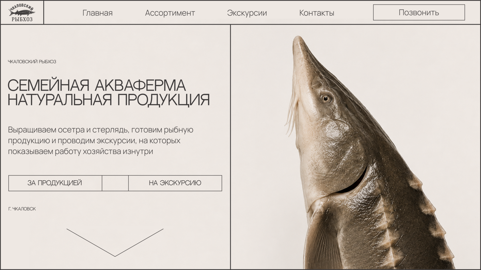 Сайт Чкаловского рыбхоза