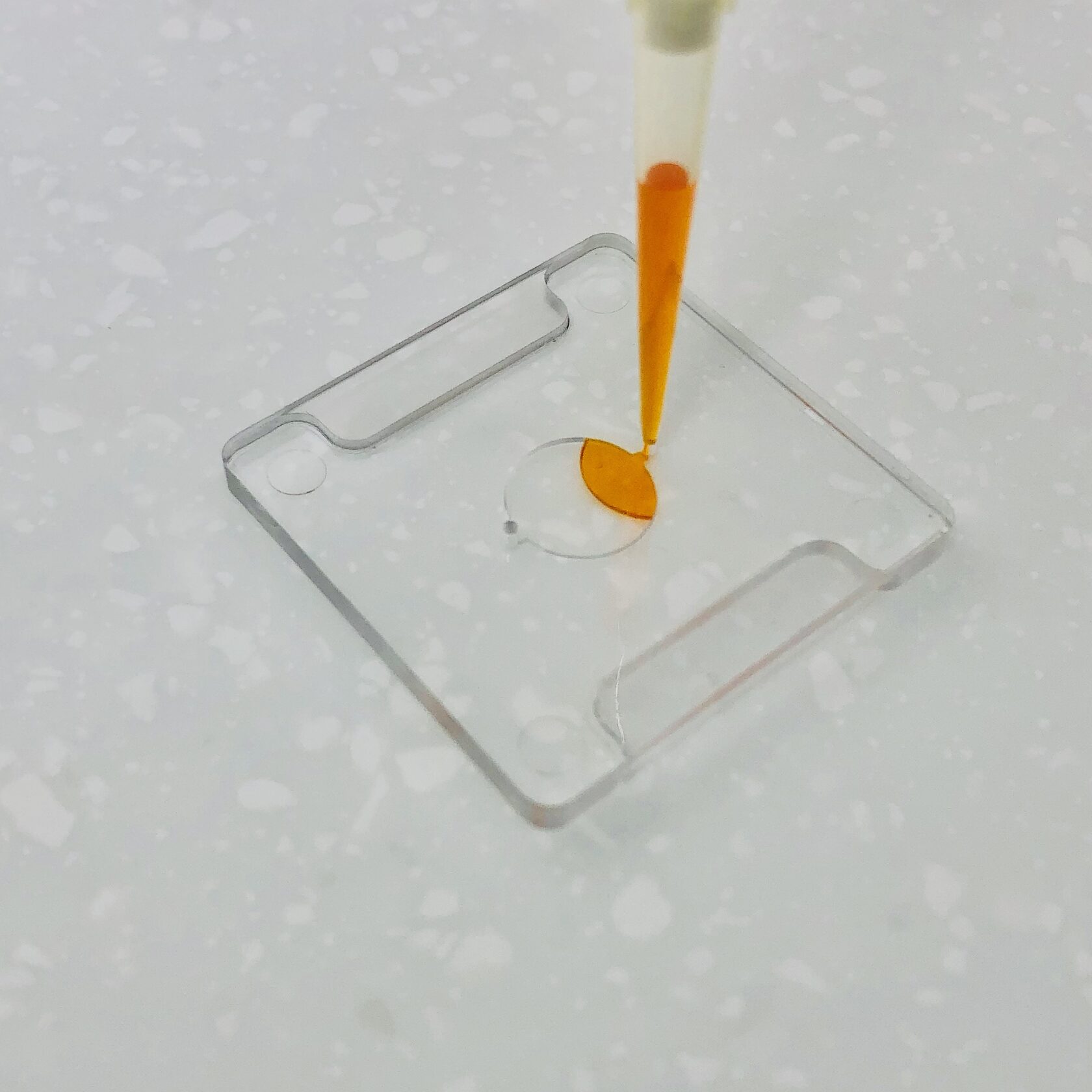 Fill the PCR cartridge with sample - BioExpert by Trobio