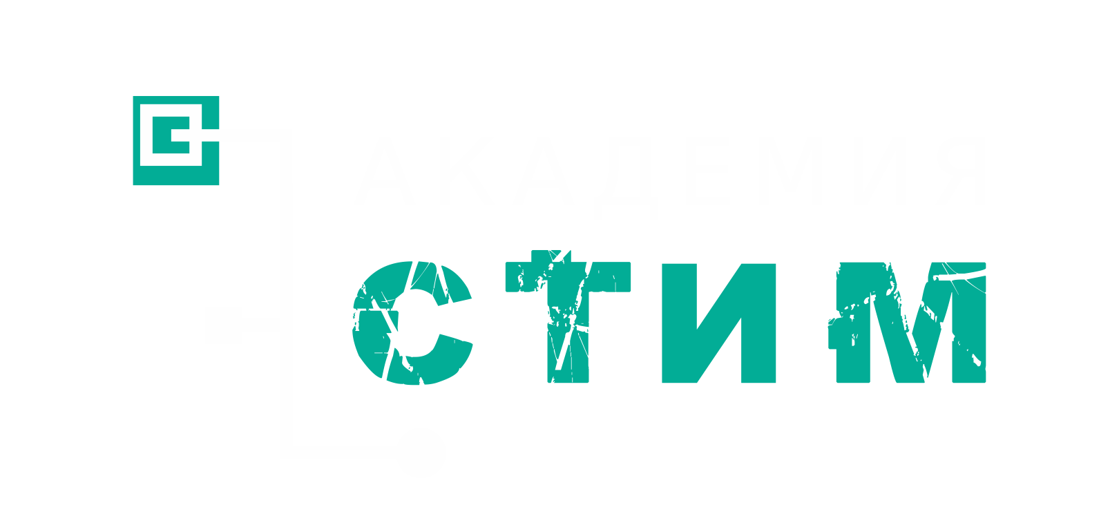  STEAM 