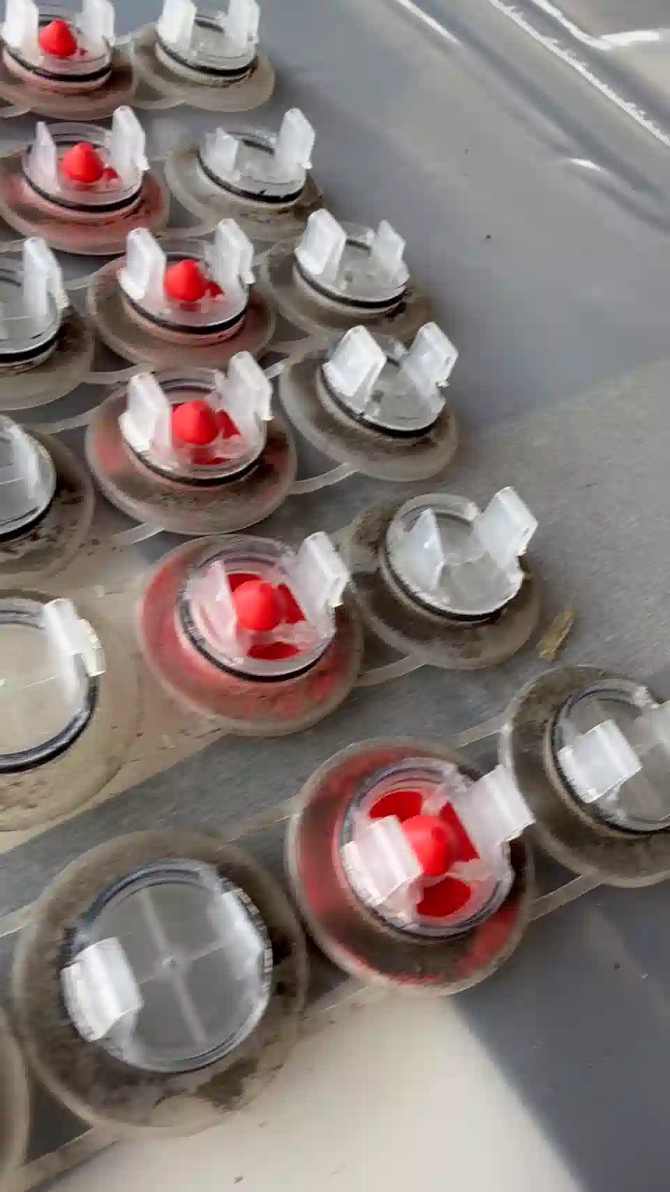 Umbrella Valves Tesla alt und neu im Vergleich