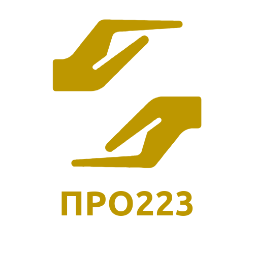 Лого сайта ПРО223